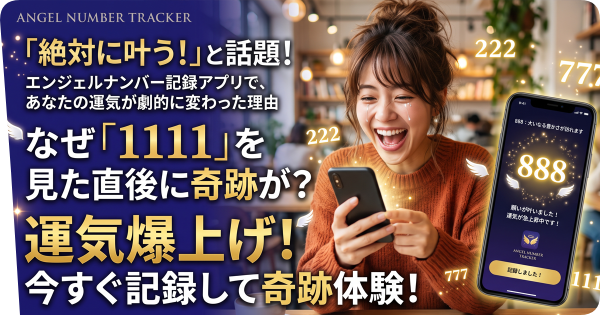 解説画像