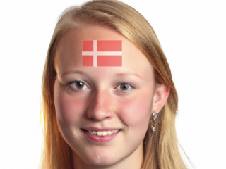 AR National Flag Body Paint(Denmark)