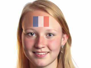 AR National Flag Body Paint(France)