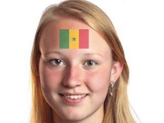 AR National Flag Body Paint(Senegal)