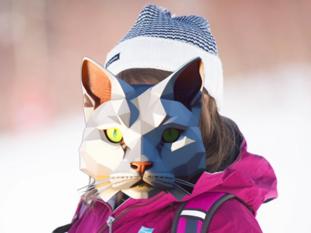 maskcatAR Face Filter(cat)