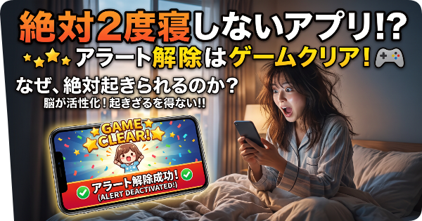 解説画像
