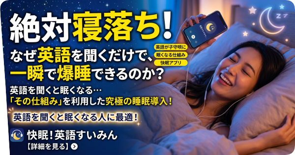 解説画像